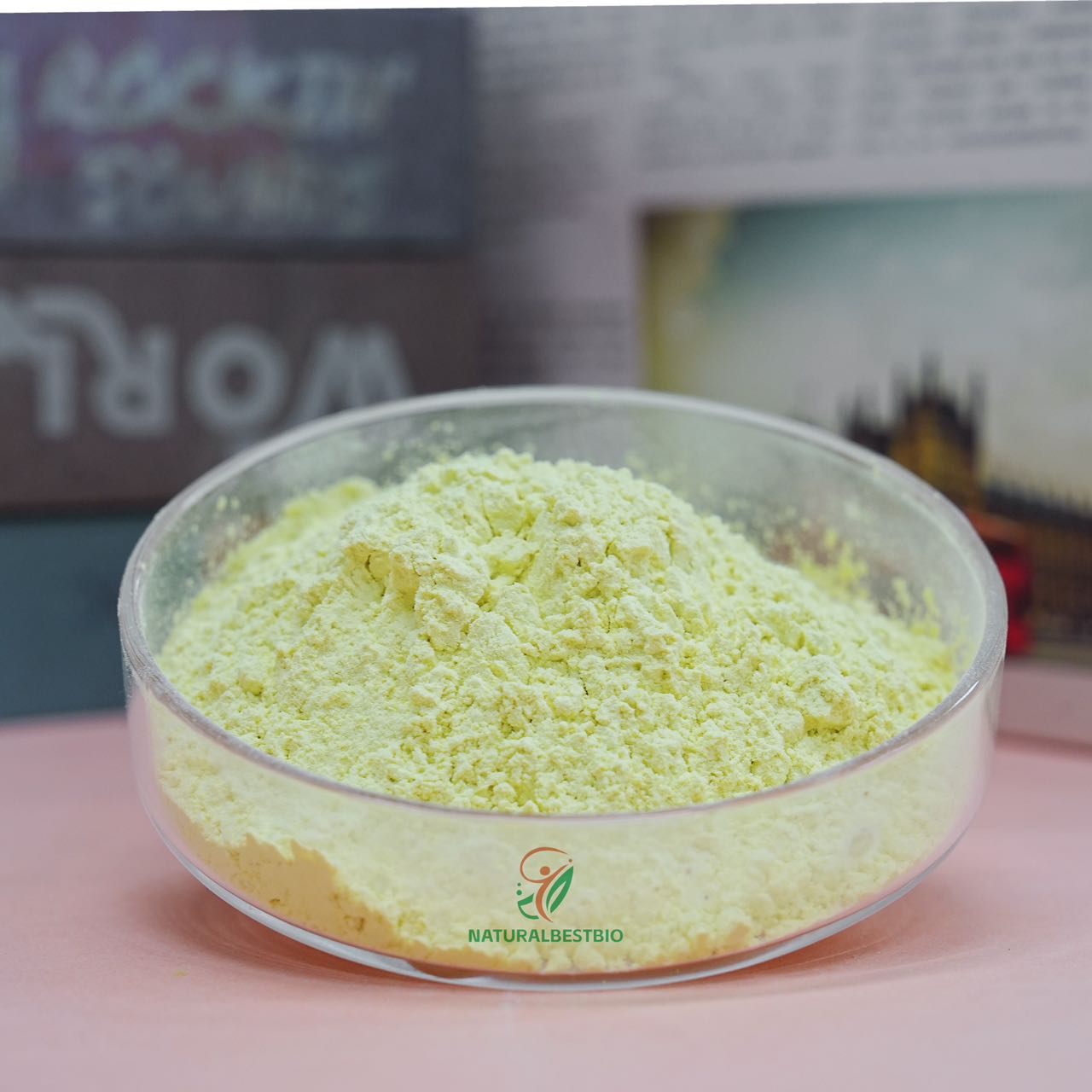 9c4d65d977ee351a7d61cfa96bfd9a80