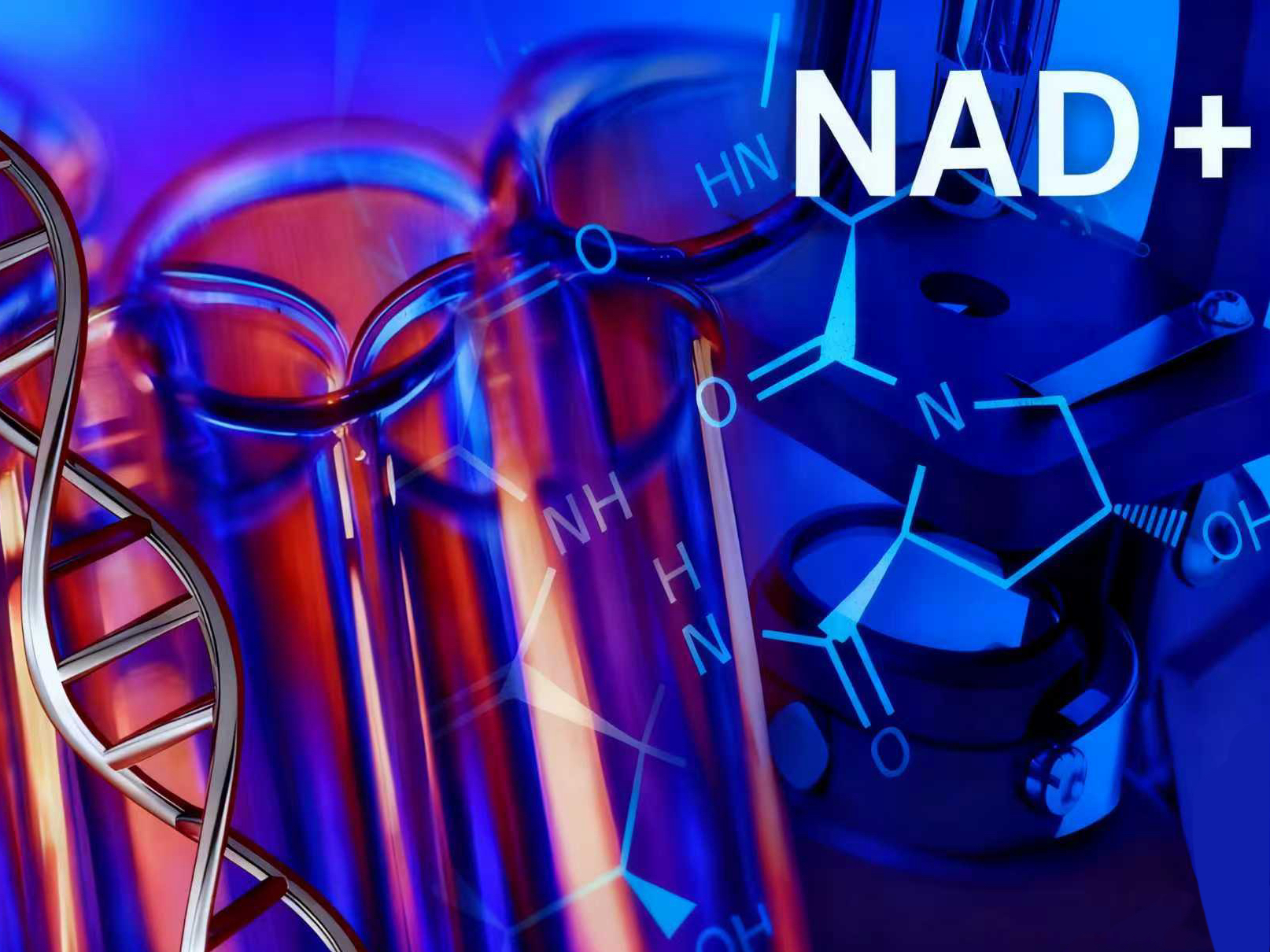 Trigonelline: The Natural NAD+ Precursor in Coffee and Curry with Superior Stability for Anti-Aging, Muscle Preservation, and Glucose Regulation