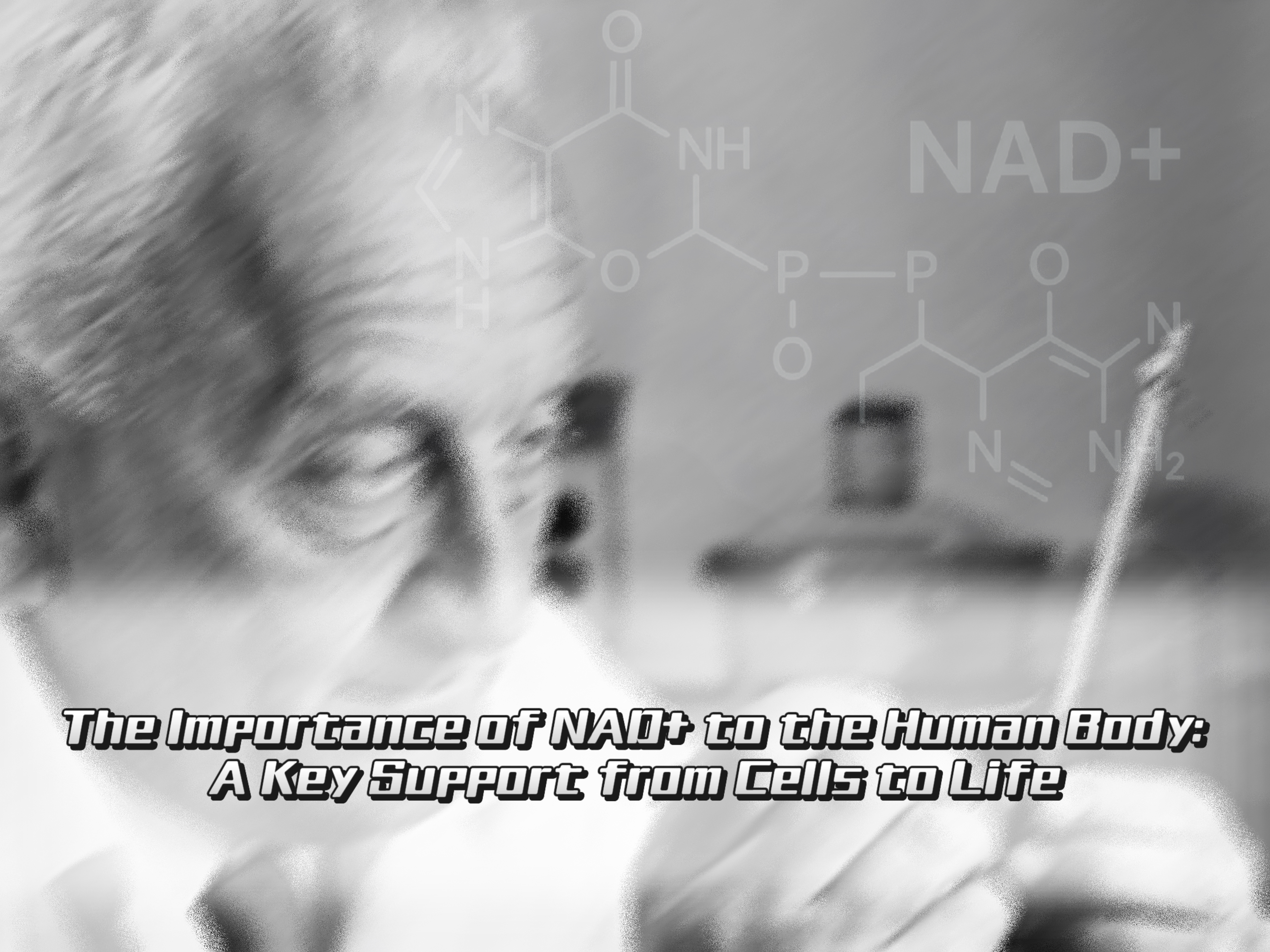 The Importance of NAD+ to the Human Body: A Key Support from Cells to Life