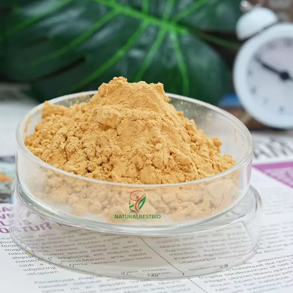 fd7b9f57e7de5773c986d2ffd28aca02_1024_1024