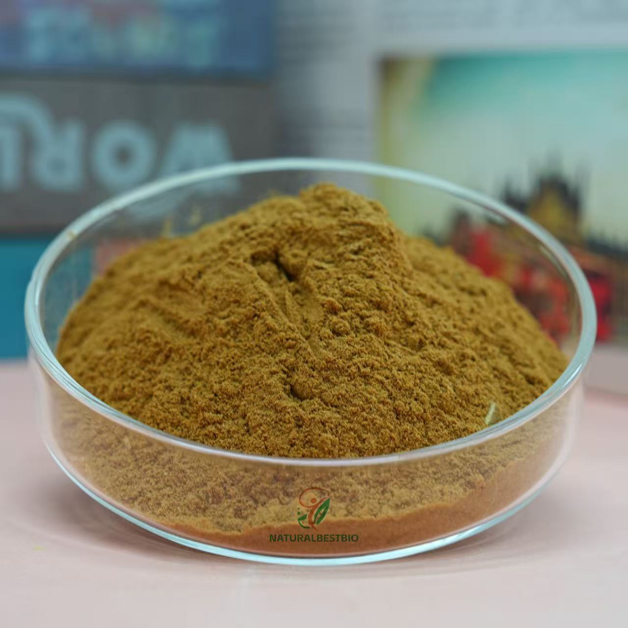 Fucoidan 85-98%