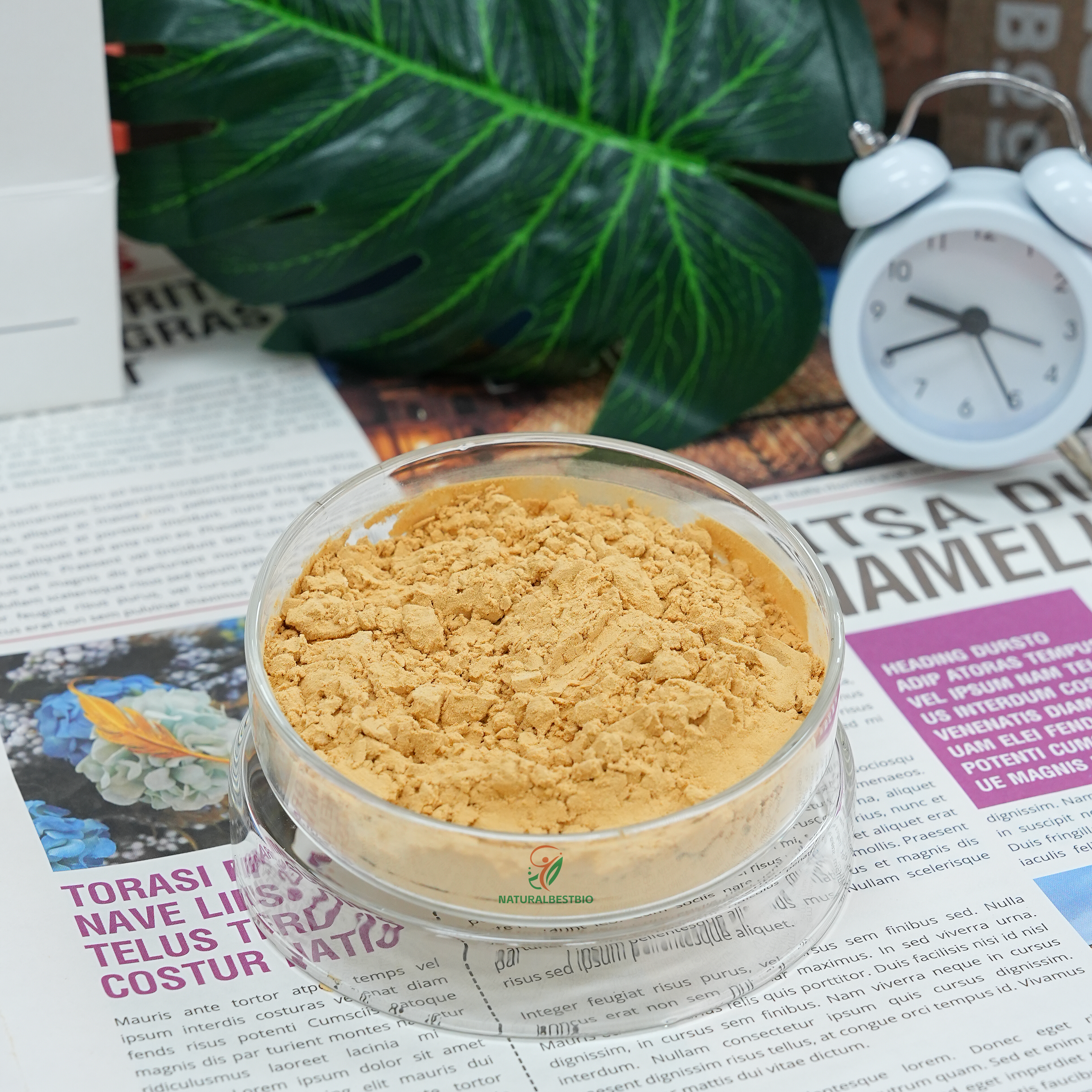 42974ca5b5242ae4f72ecd9ea0dd9906