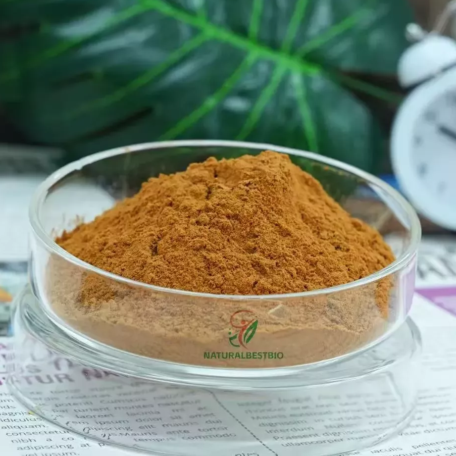 10 Proven Reasons Why China Is The Most Reliable Urolithin A Supplier in 2025